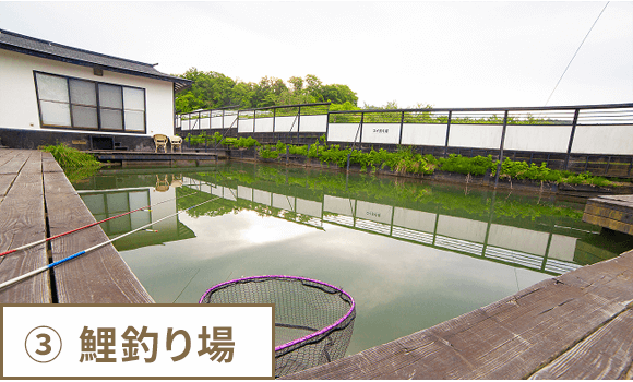 ③ 鯉釣り場