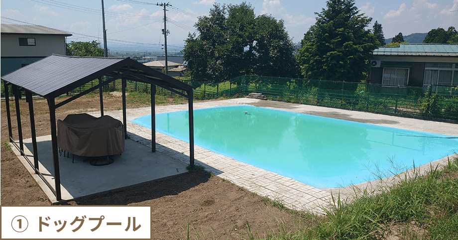 ① ドッグプール